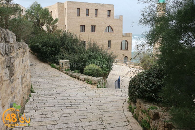 yaffa weahtera (15).jpg